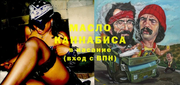индика Армянск