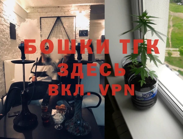 индика Армянск